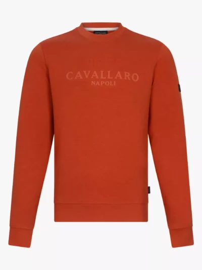 Cavallaro Sweater - 120251000