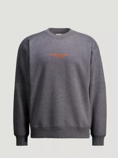 Chasin' Chasin' Trui - 41110012 - Grijs