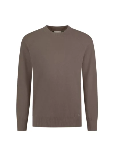 Dstrezzed Dstrezzed Trui - 406008 - Bruin