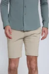 54231